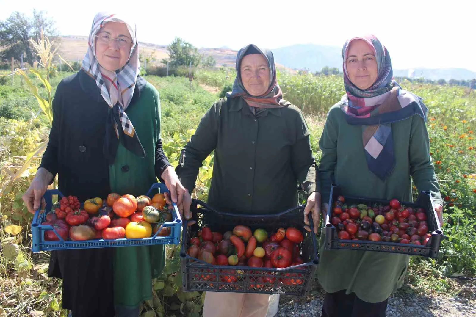 Kayseri’nin Kocasinan içesinde kurulan Yediveren Kadın Kooperatifi’nde ata tohumu kullanılarak