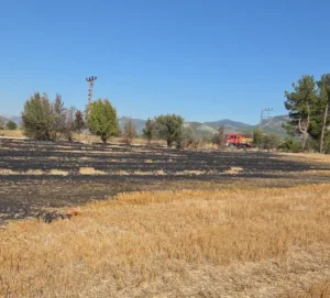 Burdur’un Bucak ilçesinde arazide çıkan otluk yangını itfaiye ekipleri tarafından