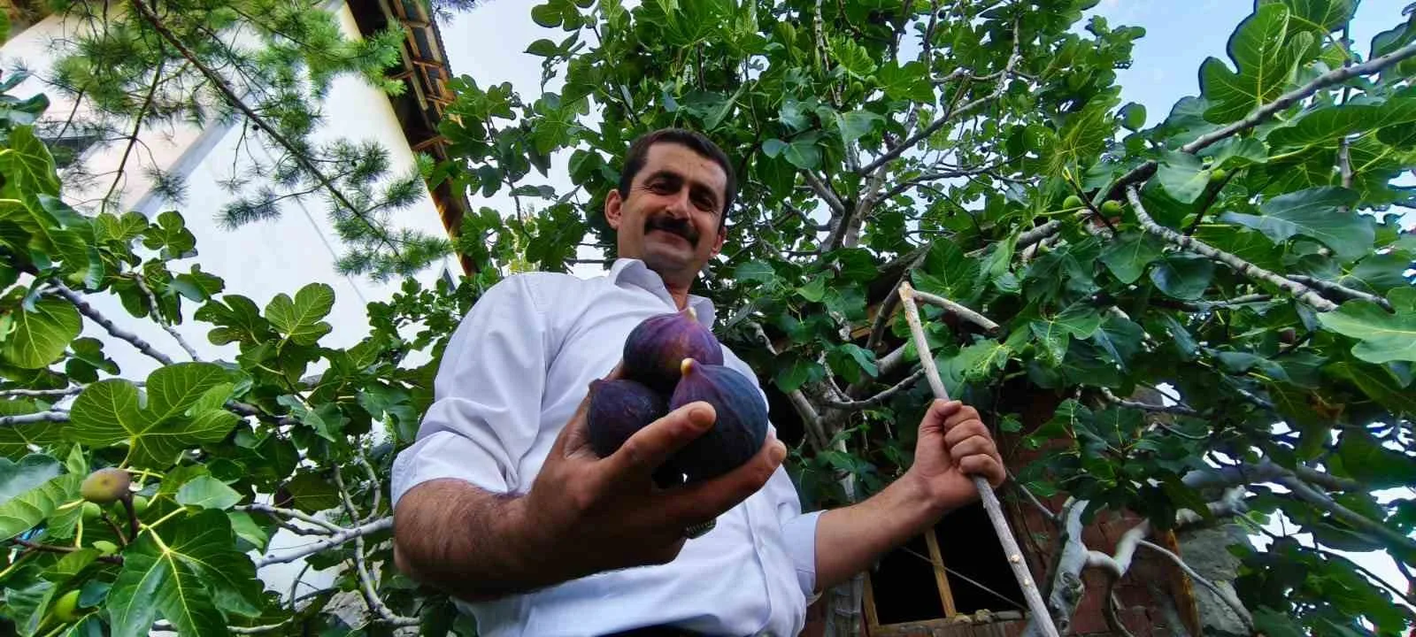 Erzurum’un Uzundere ilçesinde yaşayan Ömer Faruk Özgelen’in Bursa’dan getirerek bahçesine