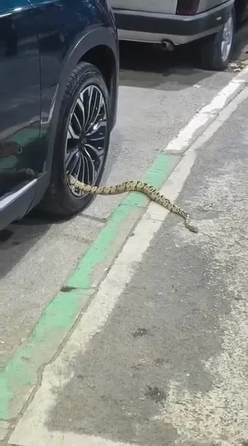 Bursa’nın Osmangazi ilçesinde park halindeki bir otomobilin jantından yaklaşık 1