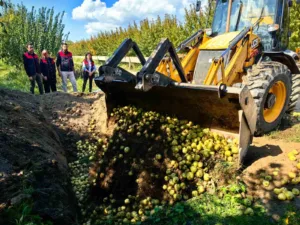 Bursa İl Tarım ve Orman Müdürlüğü denetim ekipleri tarafından rutin