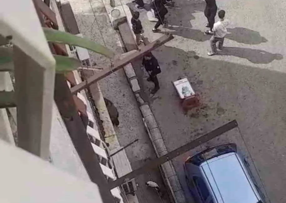 Bursa’da iddiaya göre, petshopta çalışan bir kişi, alışveriş için gelen