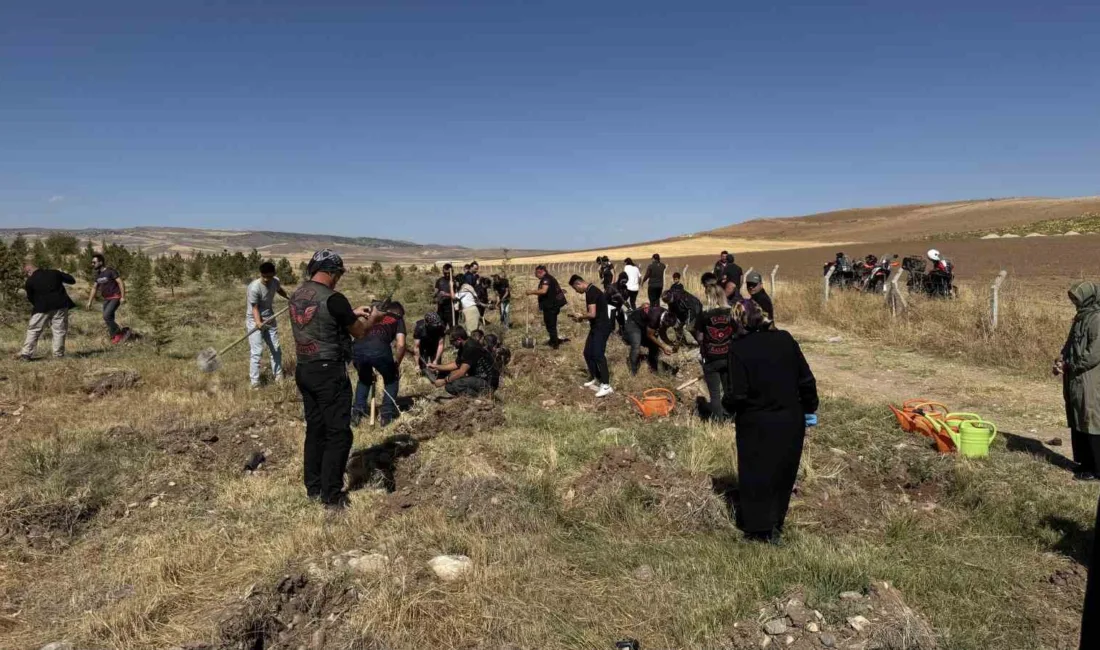 Kayseri Büyükşehir Belediyesi Park Bahçeler ve Ağaçlandırma Daire Başkanlığı, Sarımsaklı’da