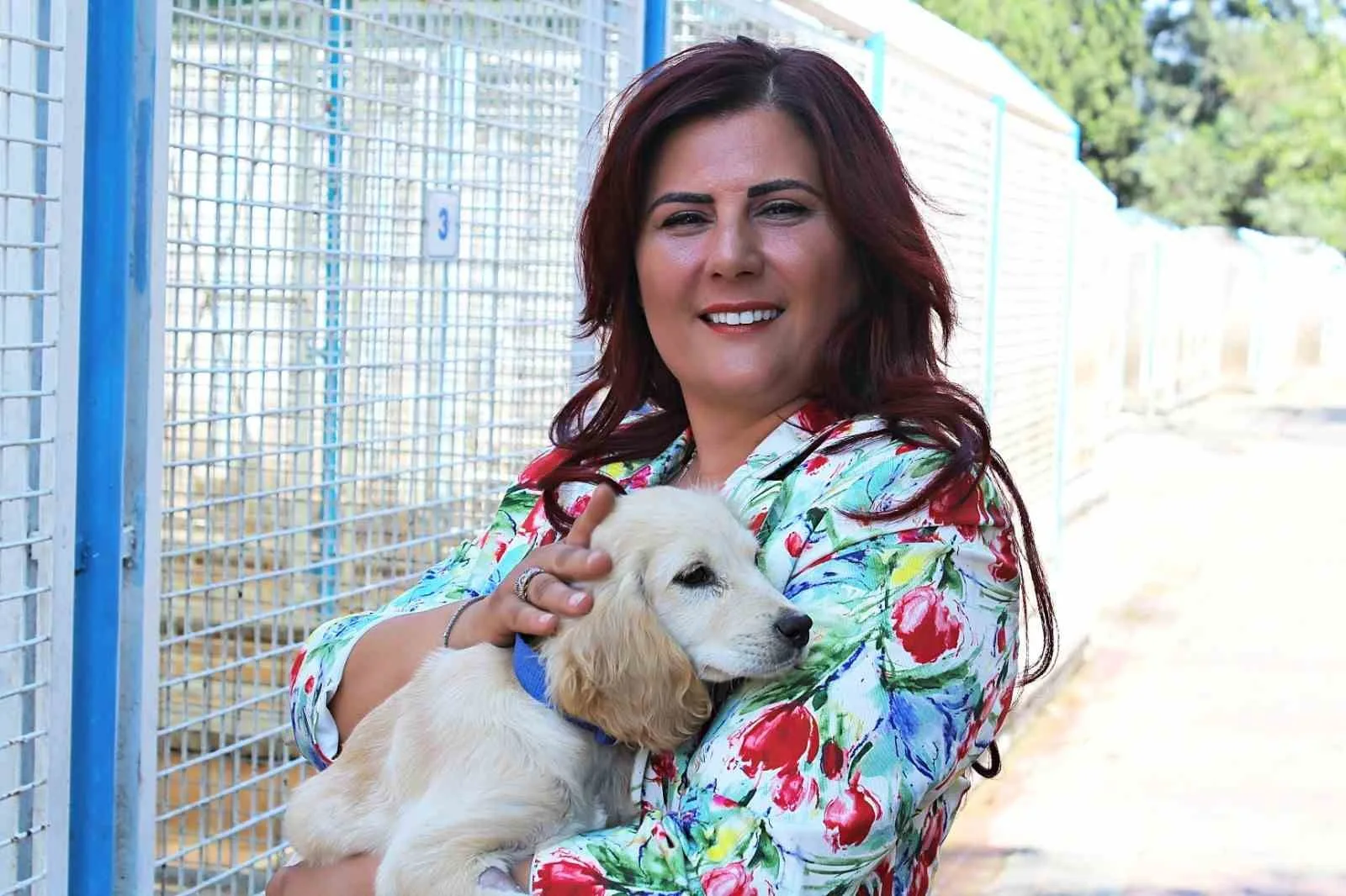 Sokak hayvanlarının güvenli ve sağlıklı bir ortamda yaşayacağı 244 bin