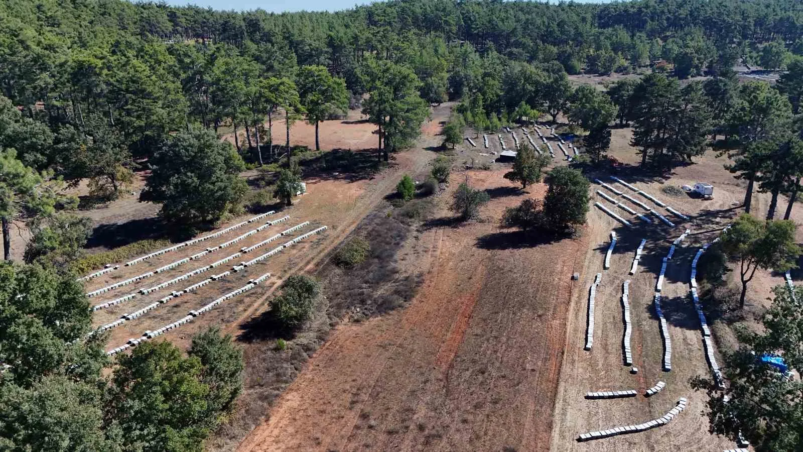 Muğla’da bu yıl mevsim şartlarının elverişli gitmesiyle 20 bin ton