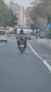 Çanakkale’nin Gelibolu ilçesinde motora artçı olarak binen köpek görenleri hem