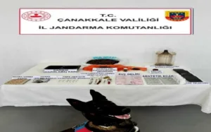 Çanakkale’de jandarma ekiplerinin düzenlediği uyuşturucu operasyonunda yakalanan 9 şüpheliden 3’ü