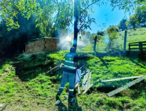 Samsun’un Canik Belediyesi, ilçede tarımsal alanlara ve tarımsal üretime zarar