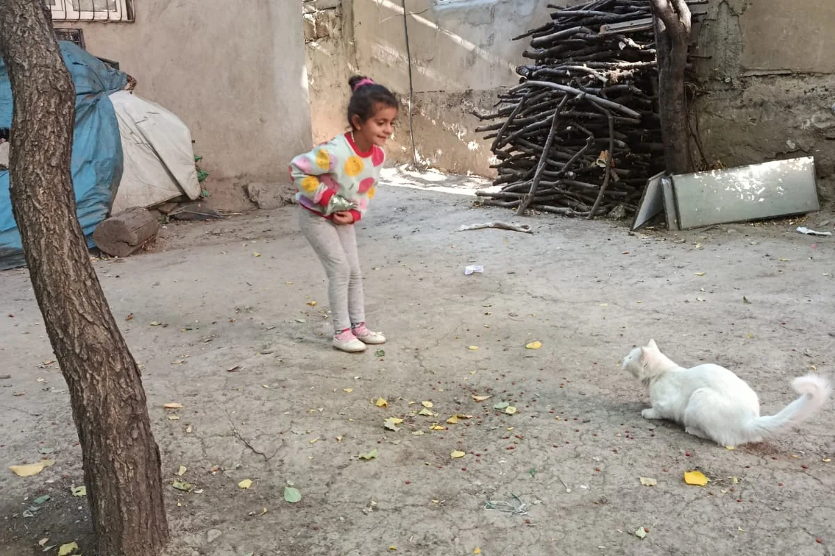 Van’ın Çatak ilçesinde Hayvanları Koruma Günü kapsamında kinik öğrenciler, sokak