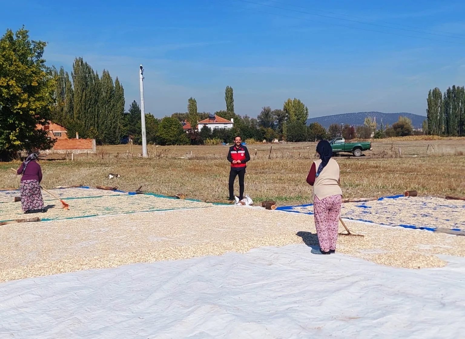 Kütahya’nın Çavdarhisar ilçesi Ağarı Köyü’nde çerezlik kabak hasadının başladığı bildirildi.