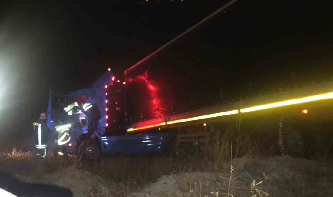 Kastamonu’nun Tosya ilçesinde yoldan çıkarak tarlaya devrilen tırın sürücüsü öldü.