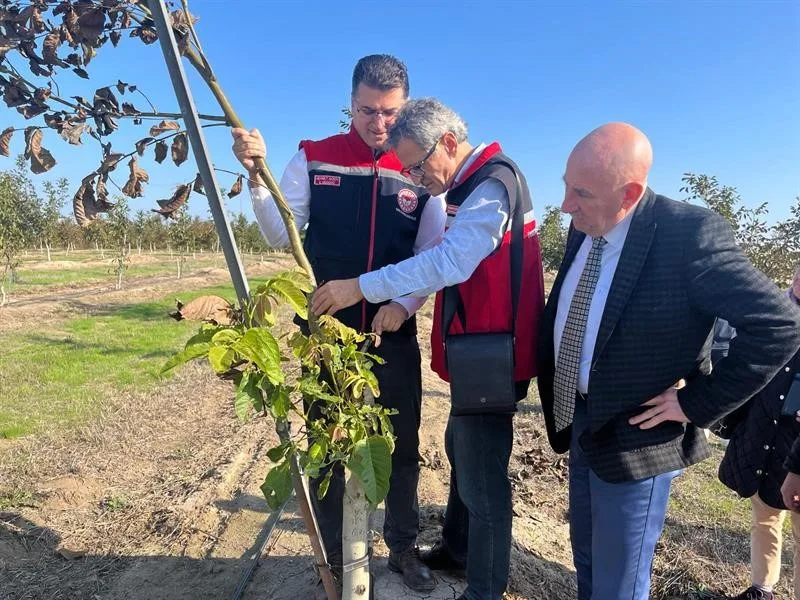 Tekirdağ İl Tarım ve Orman Müdürü Mehmet Aksoy, Çorlu ilçesi