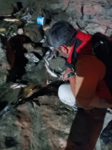 Adana’da Ceyhan Nehri’ndeki kirlilik ile ilgili İl Tarım ve Orman