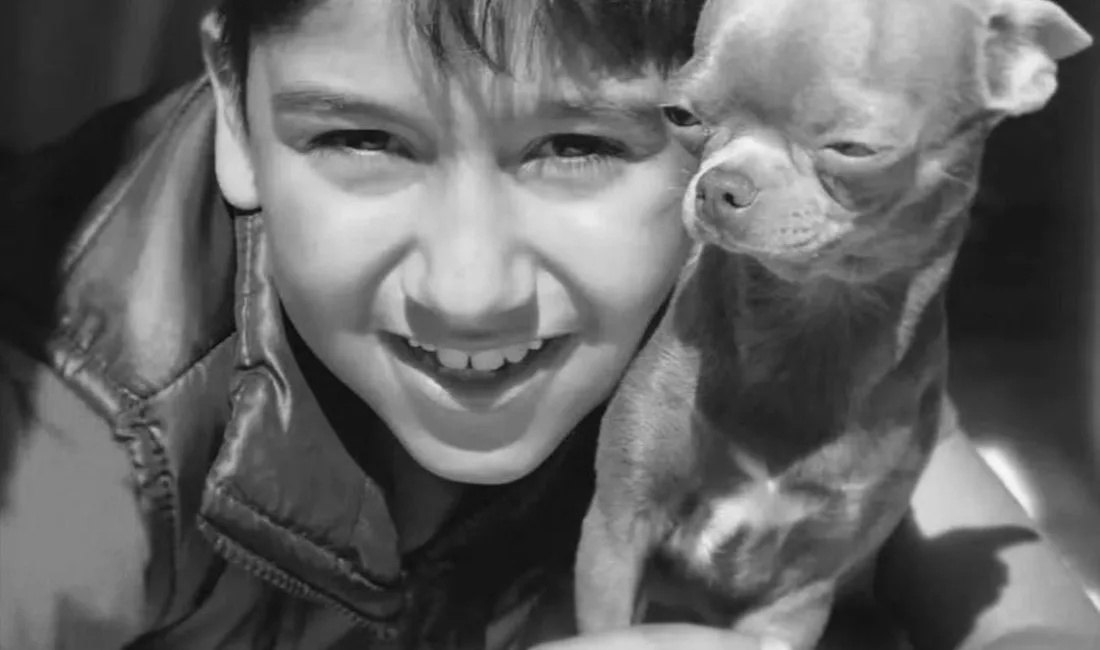 İzmir’in Selçuk ilçesinde 25 Eylül’de CHP Kadın Kolları Genel Başkan