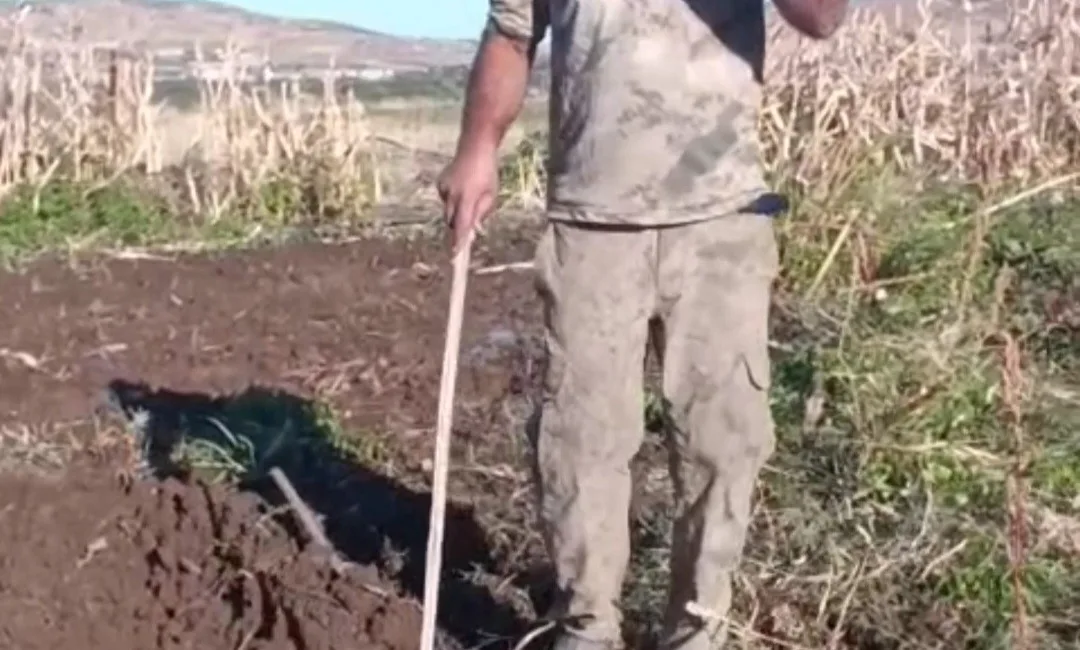 Elazığ’ın Sivrice ilçesinde yaşayan Mustafa Yıldız, bahçesine dadanan domuza, “Benden