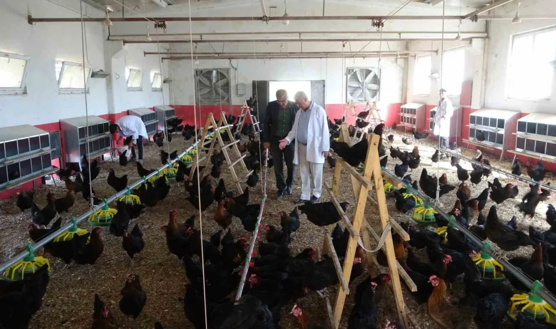 Malatya’da Tarım Mesleki ve Teknik Anadolu Lisesi öğrencileri, okul bünyesinde