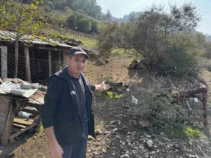 Manisa’nın Soma ilçesine bağlı Kozanlı Mahallesi’nde, bir vatandaşın CİMER’e yaptığı