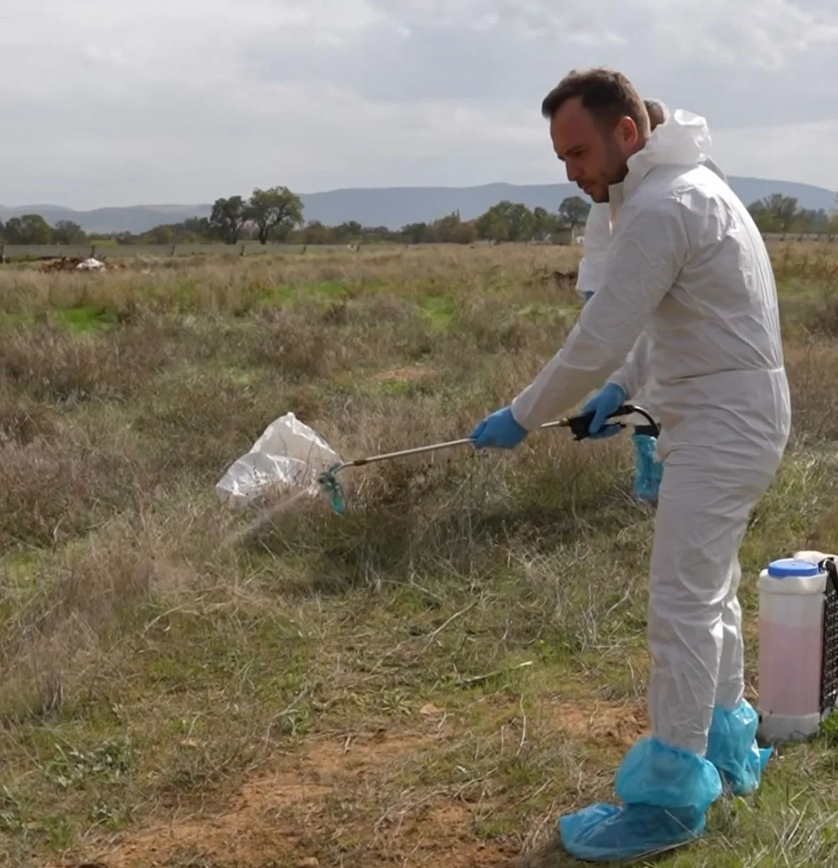Çivril Belediyesi, ilçede yaşanan şap hastalığına karşı mücadeleleri hız kesmeden