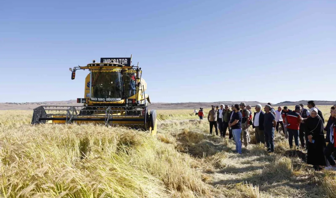 Diyarbakır’ın önemli tarımsal değerlerinden biri olan ve coğrafi işaret tesciliyle