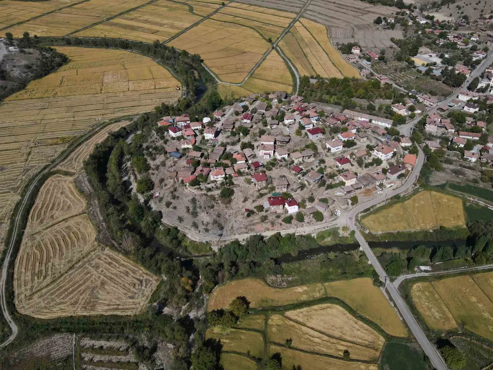 Kastamonu’nun Tosya ilçesinde hasadı devam eden coğrafi işaretli çeltikte sulama