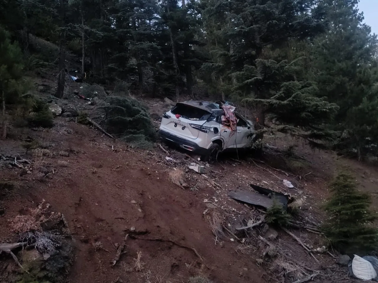 Adana’nın Pozantı ilçesinde orman yolunda meydana gelen kazada 2 kişi