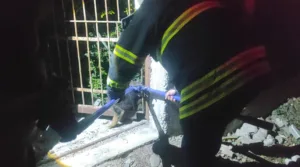 Hatay’ın Arsuz ilçesinde demir korkuluklara sıkışan yavru köpek, itfaiye ekiplerinin