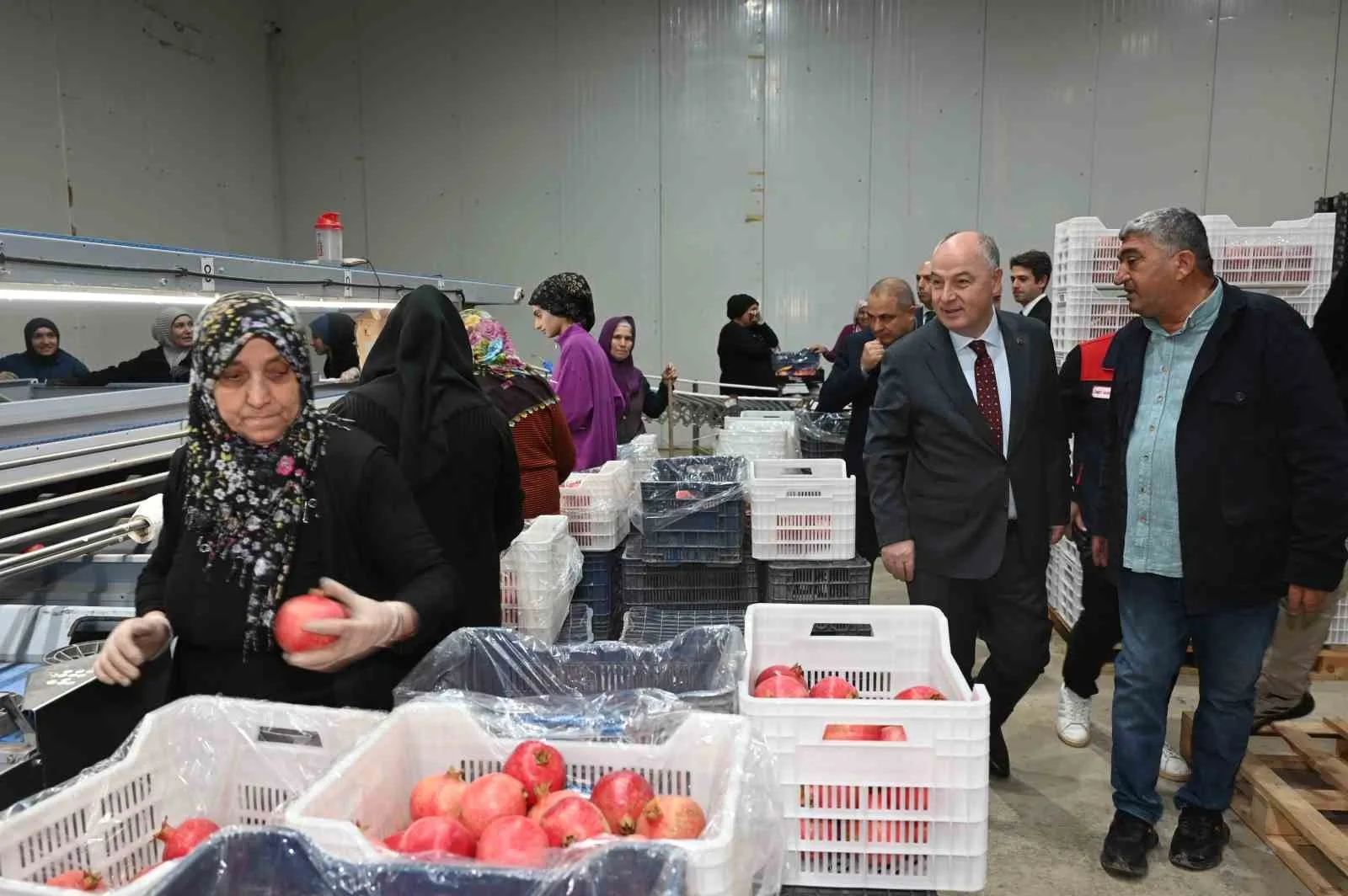 25 dekar alanda yapılan üretim ile Türkiye’nin 5’inci nar deposu