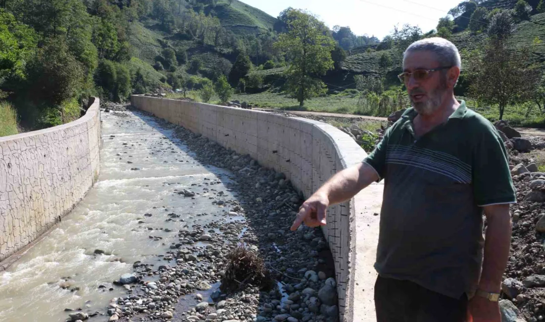 Rizeli çay müstahsili yapılan dere ıslahı nedeniyle geçemediği bahçesinde olan
