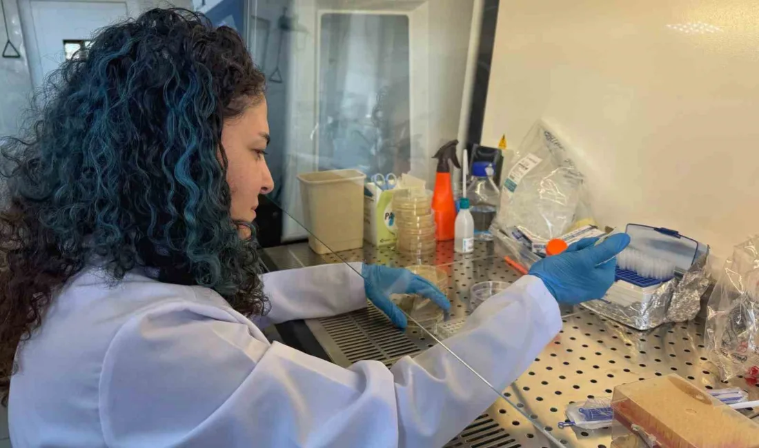 Bor destekli proje, diyabet hastalarının yaralarının daha hızlı iyileşmesine umut