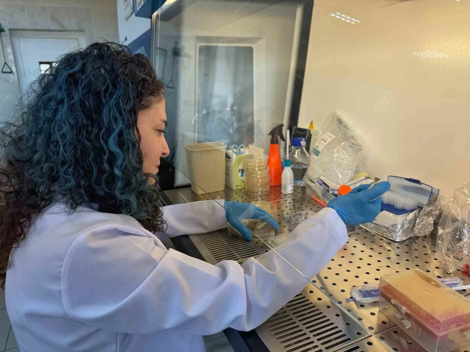 Bor destekli proje, diyabet hastalarının yaralarının daha hızlı iyileşmesine umut