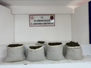 Diyarbakır’da düzenlenen uyuşturucu operasyonlarında 51 kilo skunk, 42 kilo esrar