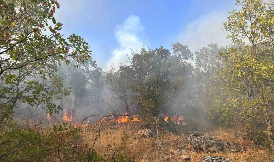 Diyarbakır’ın Dicle ilçesinde çıkan örtü yangını, helikopter destekli yaklaşık 7