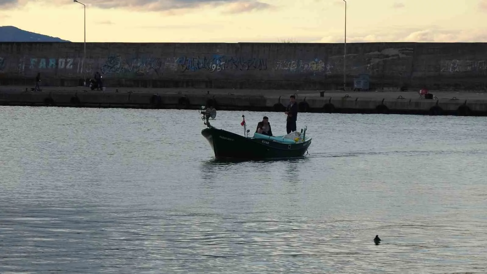Doğu Karadeniz’de geçen yıl bolca avlanan palamut bu sezon tezgâhlarda