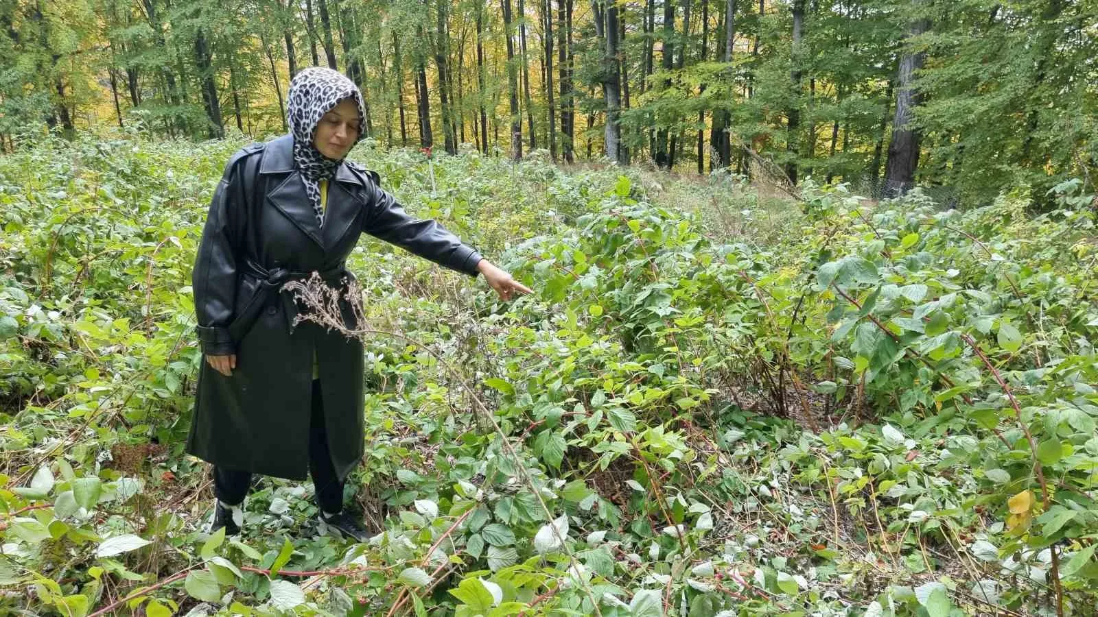 Kütahya’nın Domaniç ilçesinde genç girişimcinin hibe desteğiyle 3 yıl önce