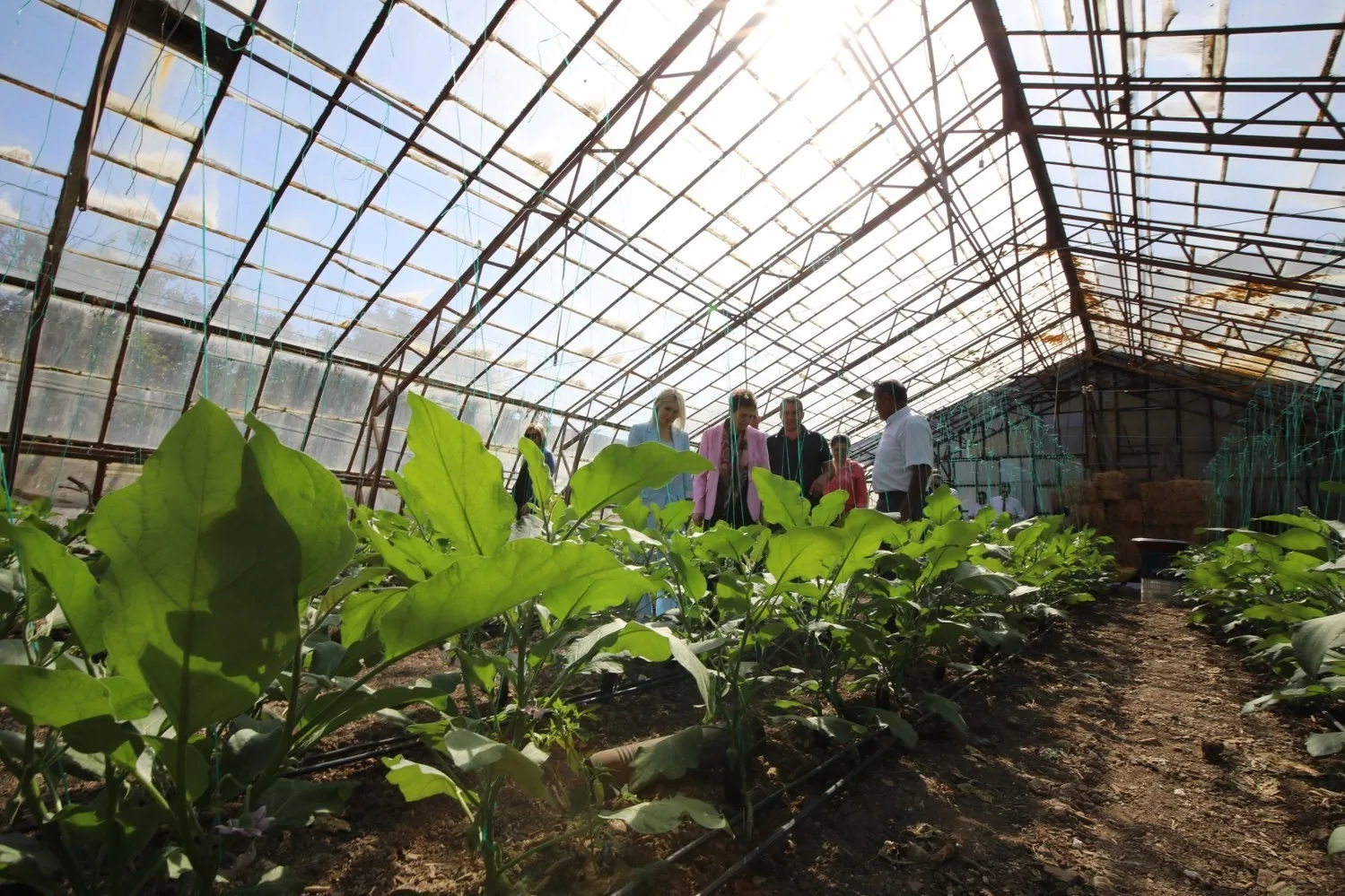 Doyran Mahallesi’nde düzenlenen “Obezite Farkındalık Etkinliği”nde, kadınlara sağlıklı yaşam ve