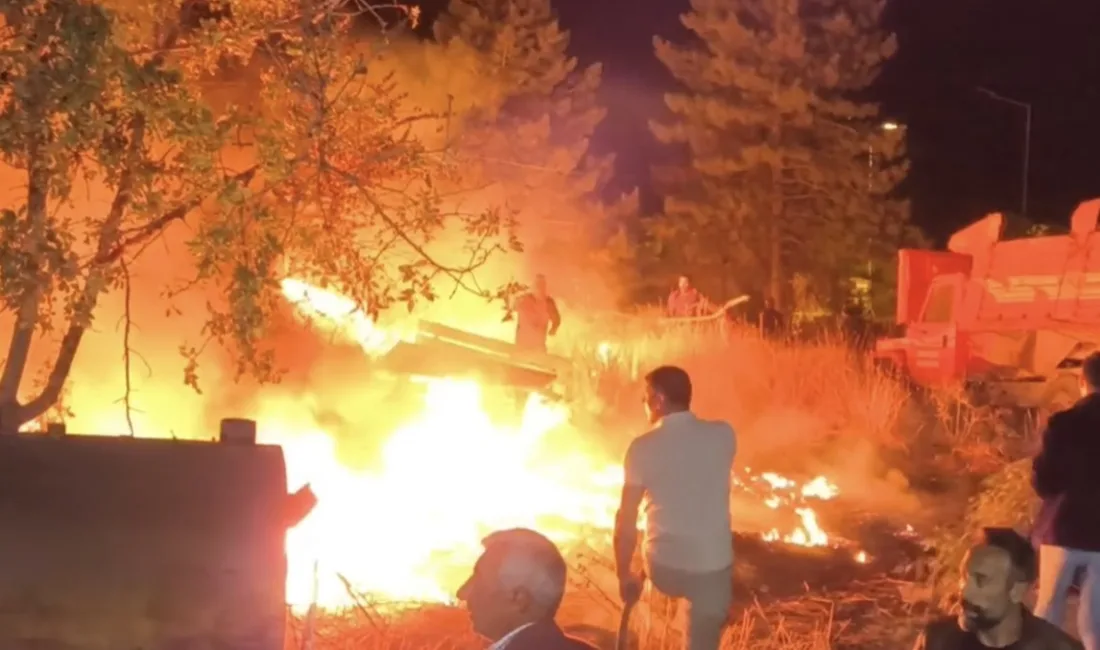 Tunceli’nin Çemişgezek ilçesinde bir düğün solunu yanındaki otluk alanda çıkan