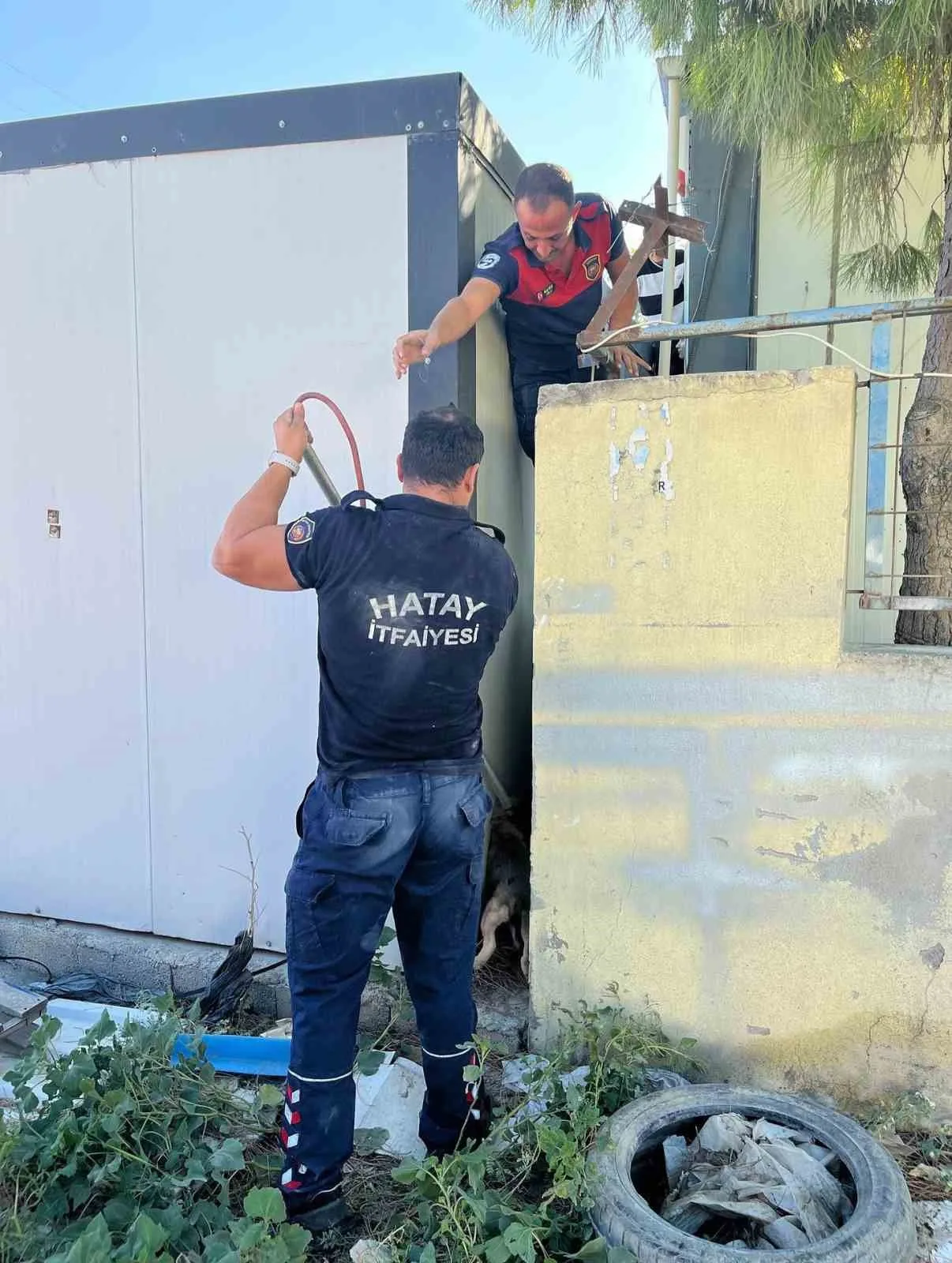 Hatay’da konteyner ve duvar arasında sıkışarak mahsur kalan yavru köpeği