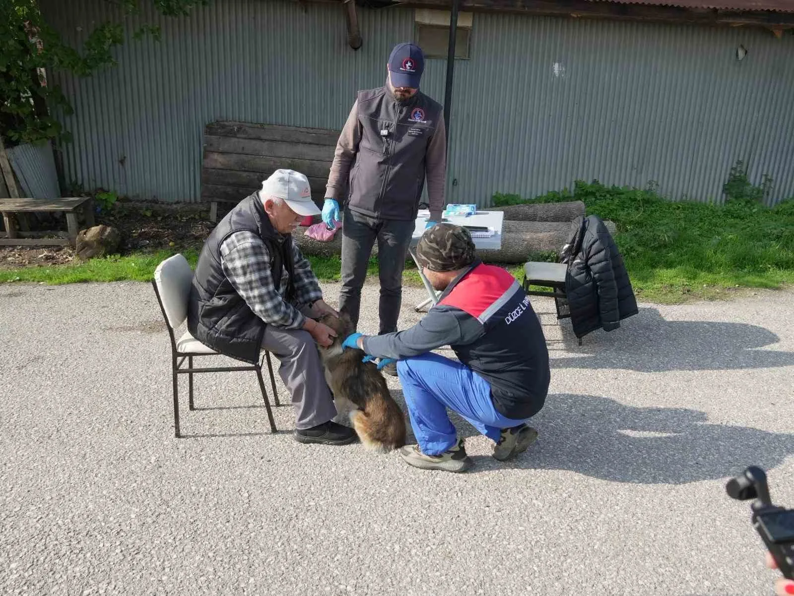 Düzce Belediyesi Veteriner İşleri Müdürlüğü, Tarım İl Müdürlüğü veteriner hekimleriyle