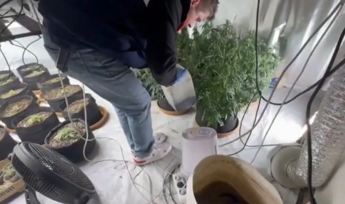 Düzce’de jandarma ekiplerince bir eve düzenlenen operasyonda uyuşturucu yetiştirmek için