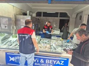 DÜZCE (İHA) – Düzce’de İl Tarım ve Orman Müdürlüğü ekiplerince