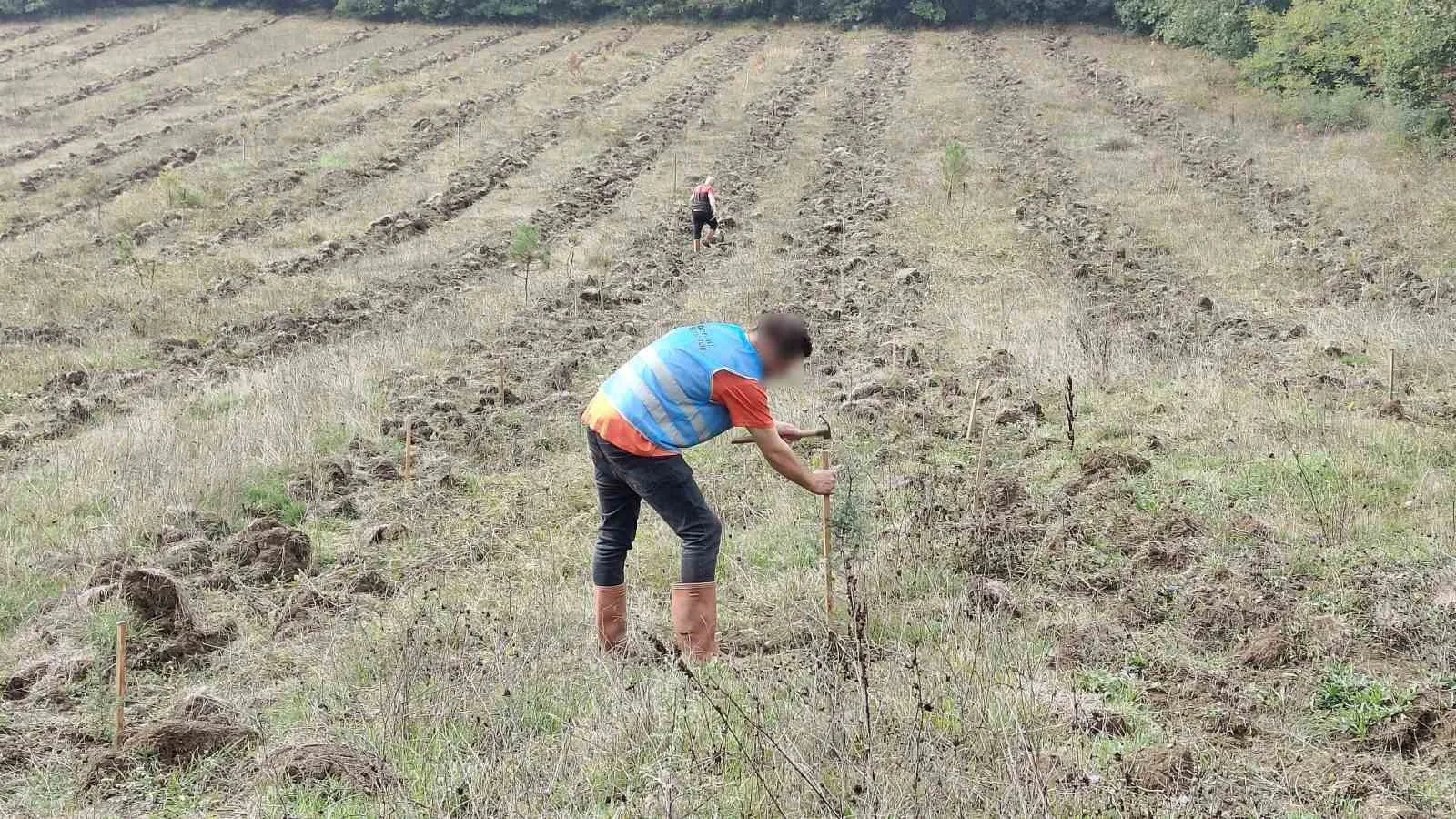 DÜZCE (İHA) – Düzce’de denetimli serbestlik kapsamındaki yükümlüler, yazın çıkan
