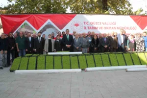 DÜZCE(İHA) – Düzce’de marul yetiştiriciliği yapan 114 üreticiye, 30 dekar