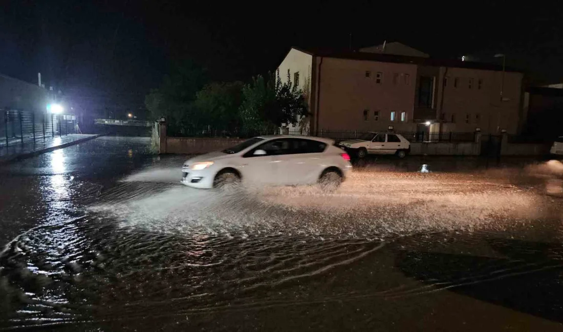 Edirne, Balkanlar’dan gelen soğuk ve yağışlı havanın etkisi altına girdi.