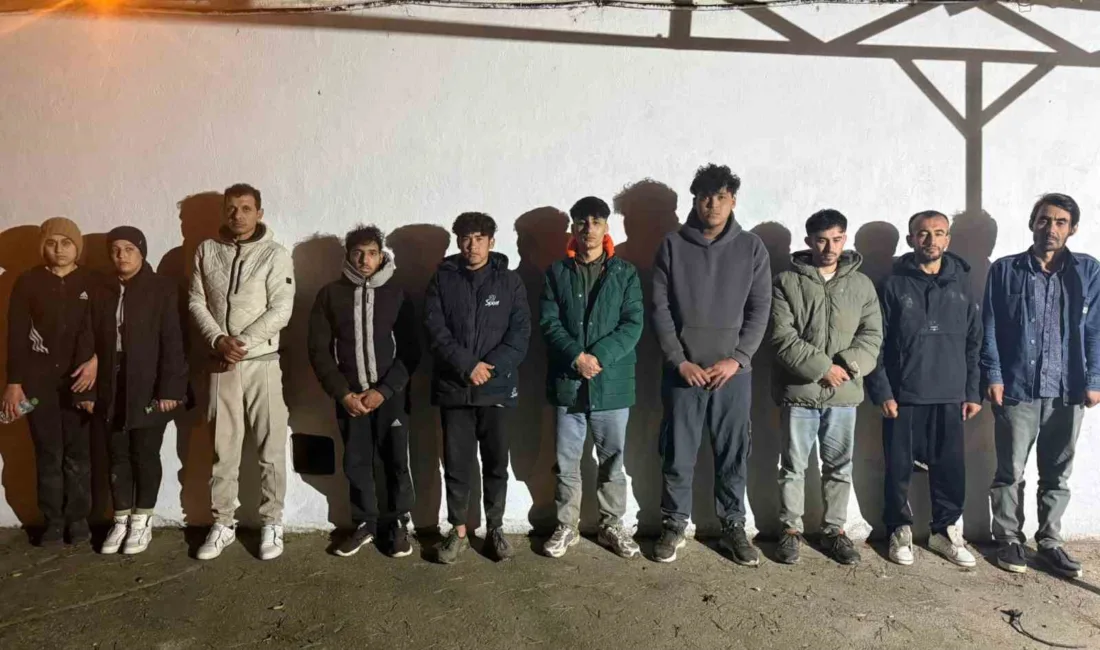 Edirne’nin Uzunköprü ilçesinde jandarma ve hudut birliklerince yapılan denetimlerde, yasa