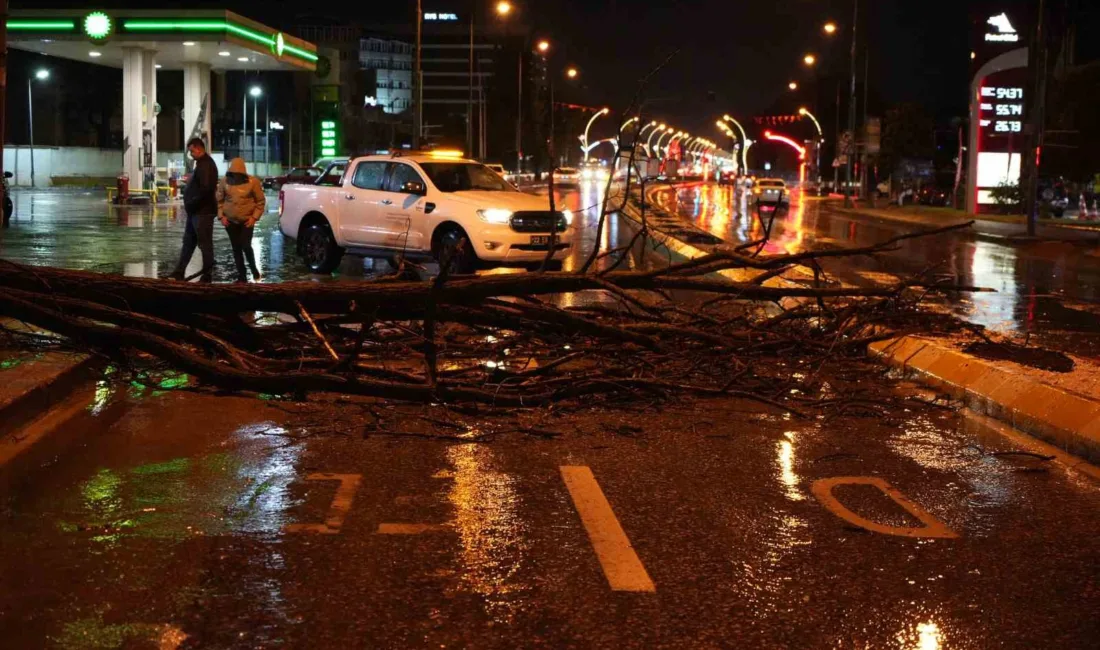 Edirne’de etkili olan sağanak yağış ve rüzgâr nedeniyle devrilen ağaç,