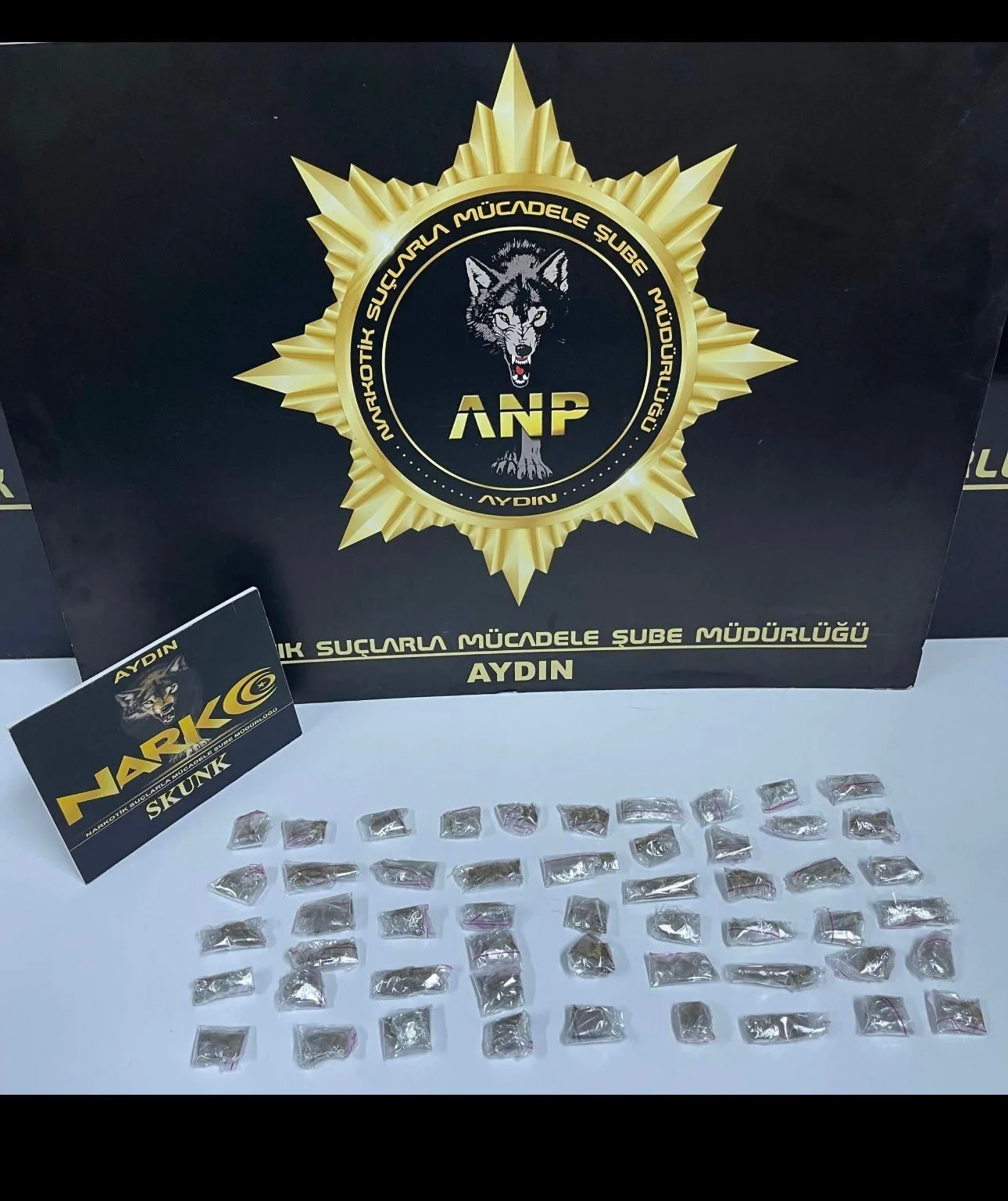 Aydın’ın Efeler ilçesinde düzenlenen narkotik operasyonda gözaltına alınan bir kişi