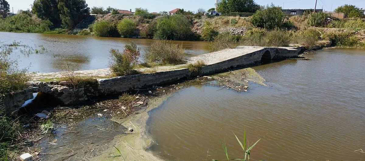 Ekosistemi Koruma ve Doğa Sevenler Derneği Başkanı Bahattin Sürücü, Sarıkemer’deki