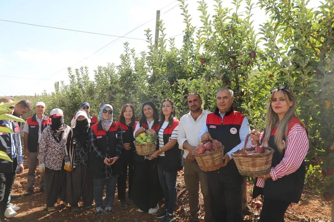 Elazığ’da 250 dekarlık bahçede elma hasadı gerçekleşti. Elazığ’ın merkeze bağlı