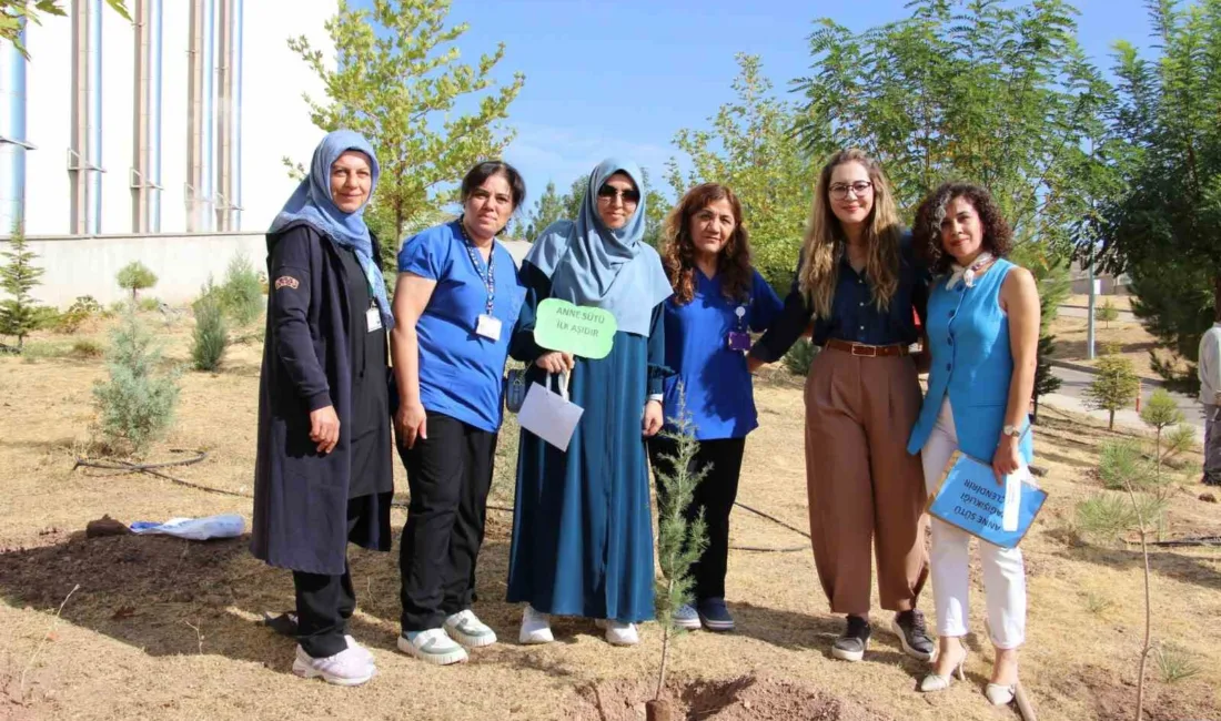 Elazığ’da 1-7 Ekim Emzirme Haftası münasebetiyle fidan dikim etkinliği düzenlendi.