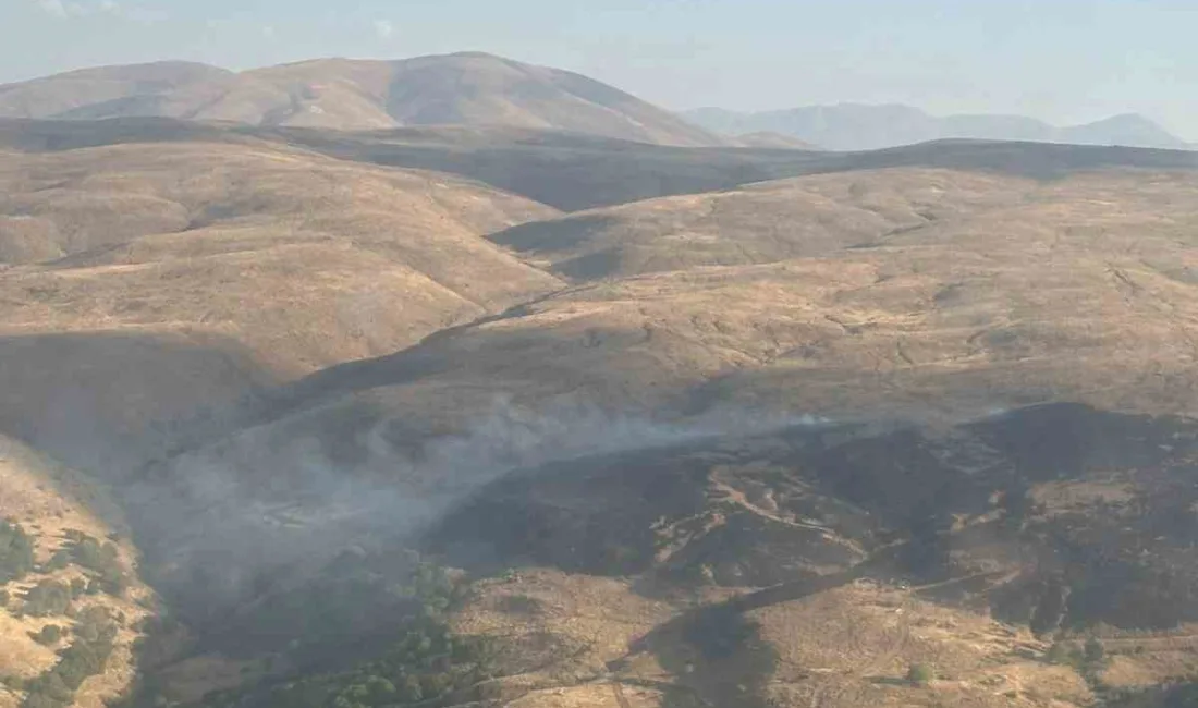 Elazığ’ın Karakoçan ilçesinde çıkan kırsal alan yangını, ekiplerin müdahalesi ile